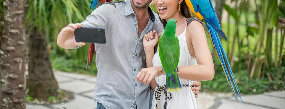 Bali Bird Park entrance ticket