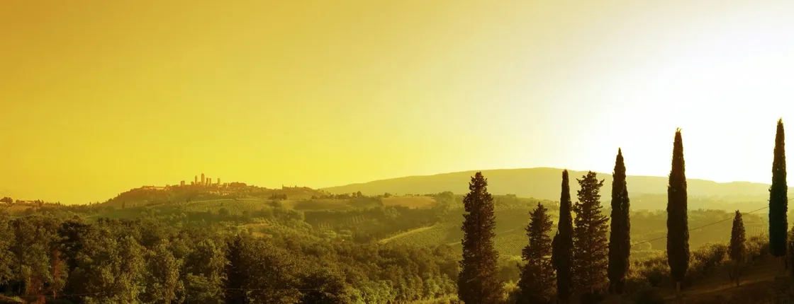 Sunset Wine Tour from Siena to Chianti with Dinner
