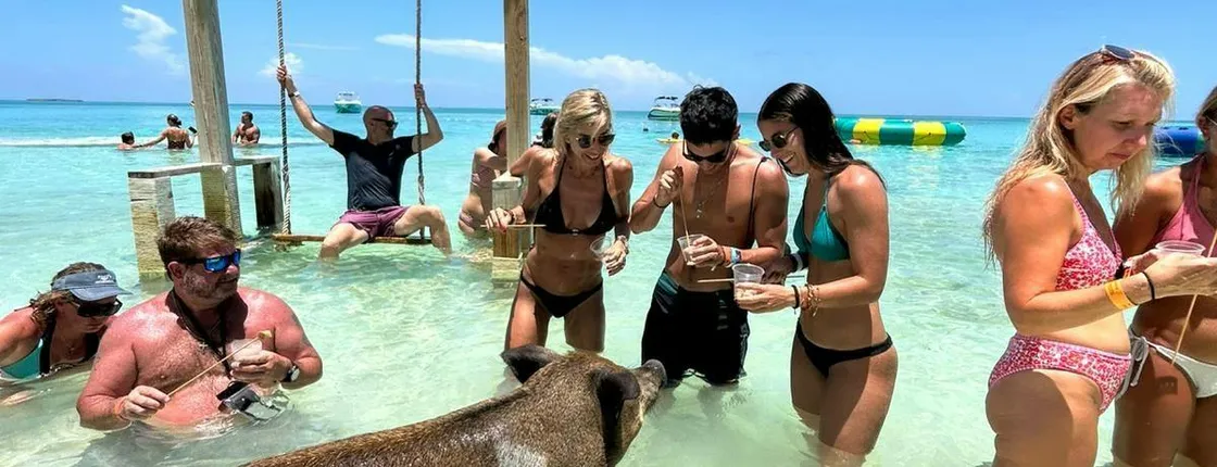 Green Turtle Cay, Pigs Island and Rose Island Tour