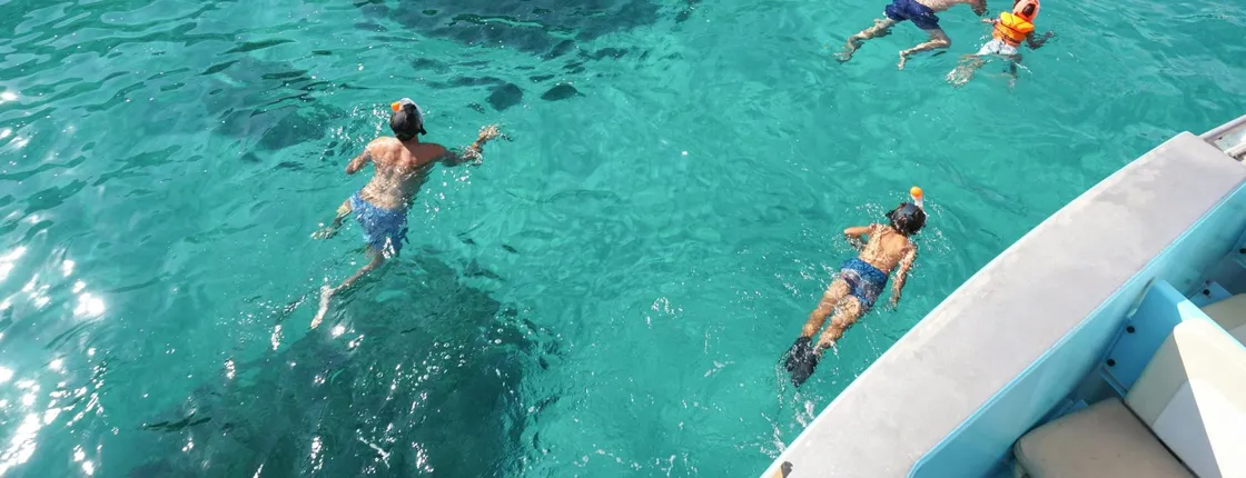 2-hour boat cruise from Paguera or Santa Ponsa