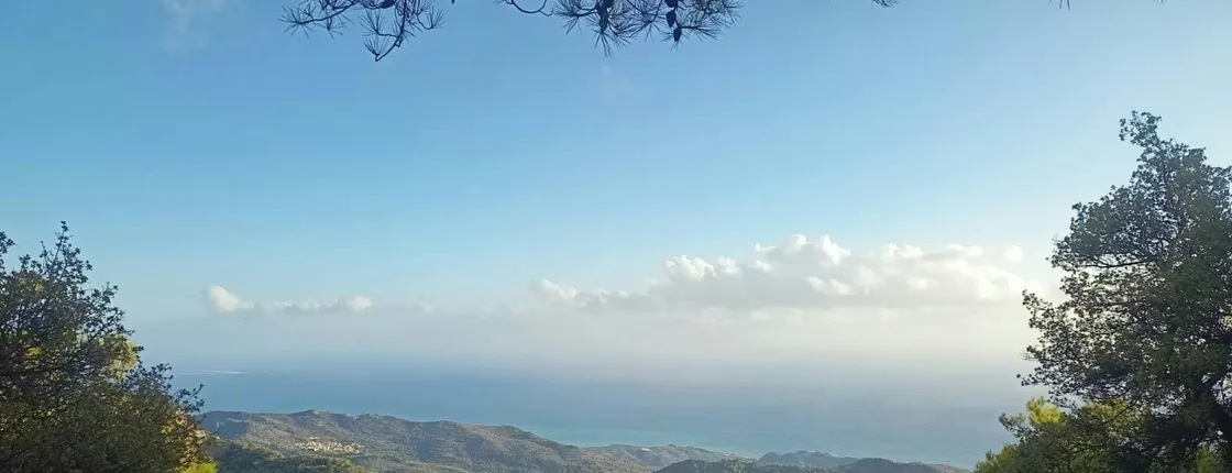 Viannos, Simi forest and ancient sanctuary tour with a local guide