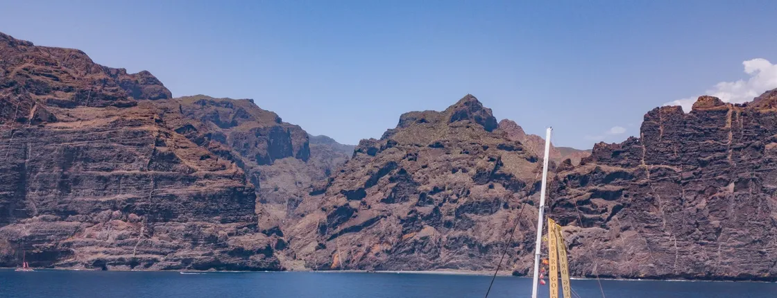 Freebird catamaran whale and dolphin cruise ticket to Masca