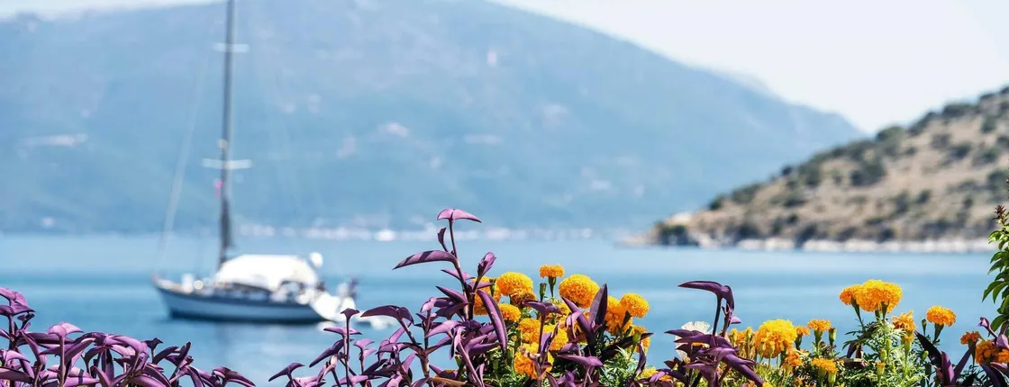 An Evening in Argostoli with Wine Tasting