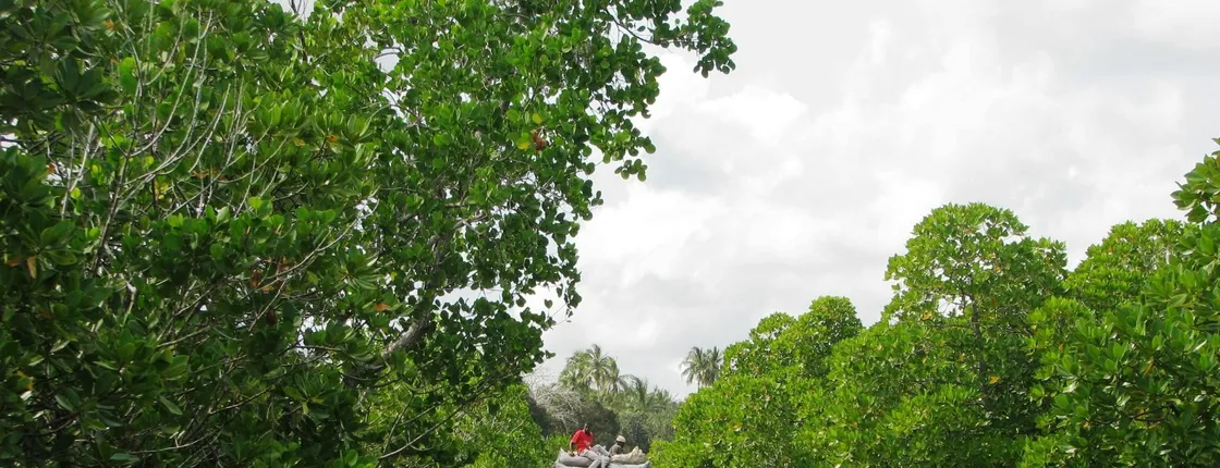 Zanzibar Uzi Island and Jozani Forest private tour