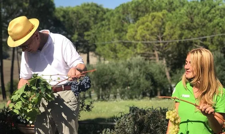 Val d’Orcia Wine Tour with Lunch & Brunello from Siena