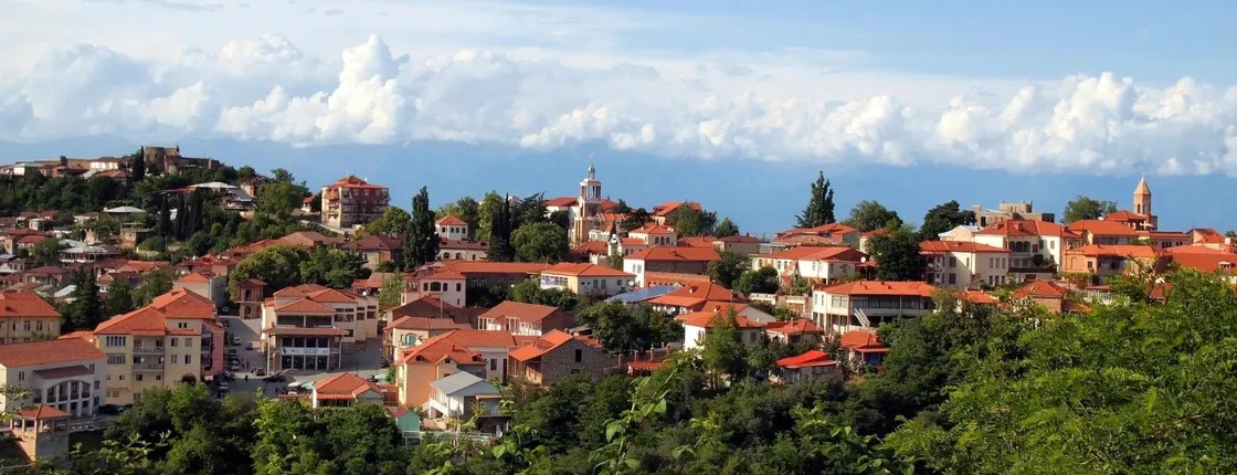 Day tour of Kakheti with wine tasting and bread-baking masterclass