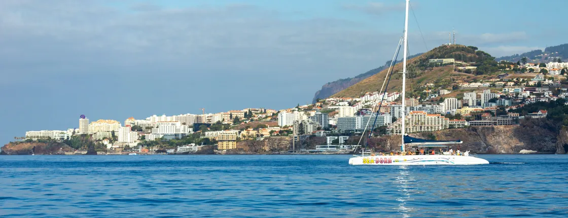 4x4 majestic mountains & dolphin-watching boat tour