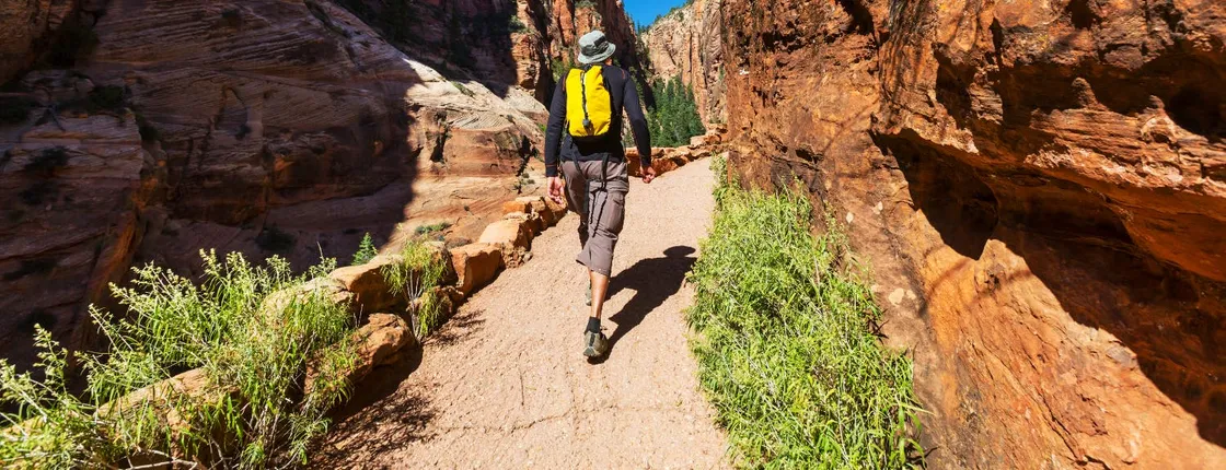 Zion National Park self-driving audio tour
