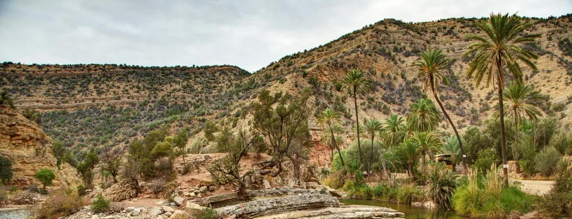 Guided Tour to a Berber Oasis from Agadir with Short Hike