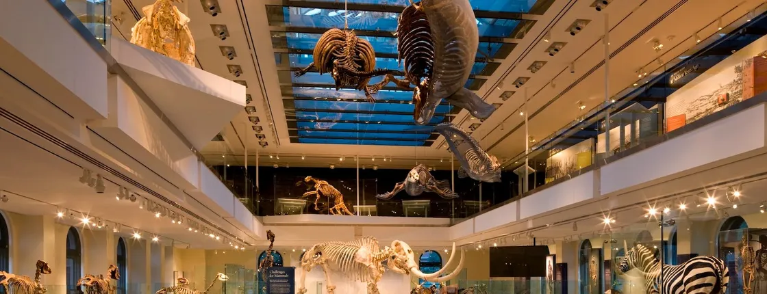 Natural History Museum of Los Angeles tickets