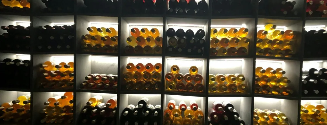 E-bike and wine tour on Lake Geneva