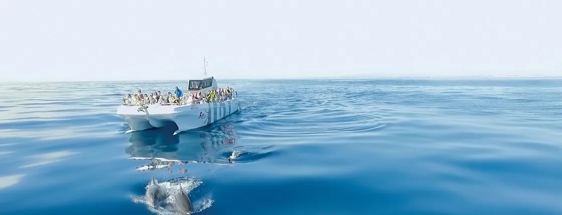Dolphin spotting and Benagil Caves guided boat trip