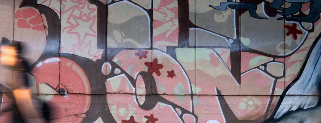 Helsinki Pasila Street art district tour with a local