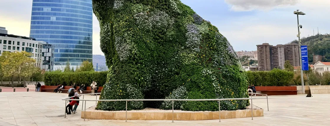 Bilbao historical walking tour and highlights