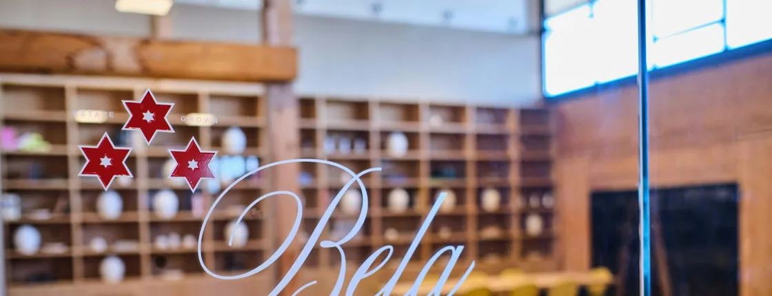 Winery Tour and Wine Tasting at Bodega Bela in Villalba de Duero