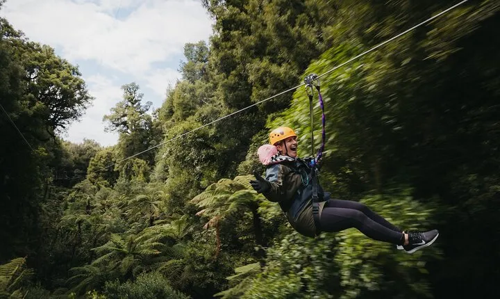 Rotorua Canopy Tours: 2.5Hour Native Forest Zipline Adventure
