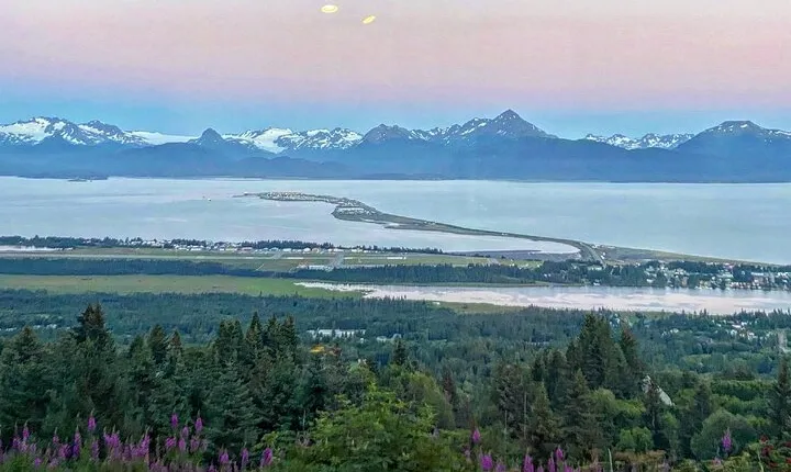 Port Homer Day Tour Wilderness, Wildlife and Beach Experience