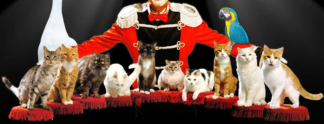 Tickets to Popovich Comedy Pet Theater