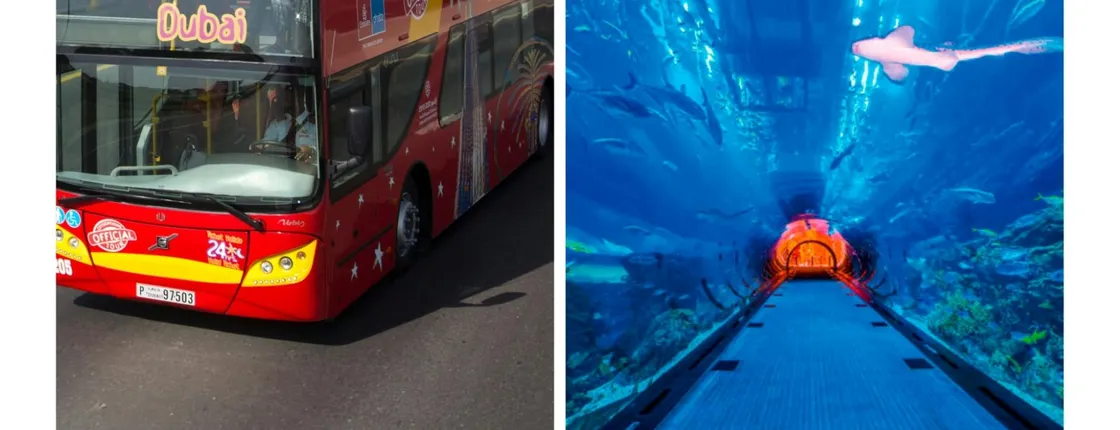 Premium Pass Dubai City Sightseeing tour