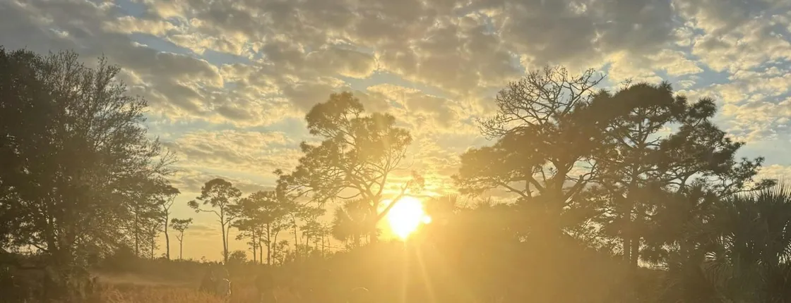 2-hour Central Florida forest horseback ride for all levels