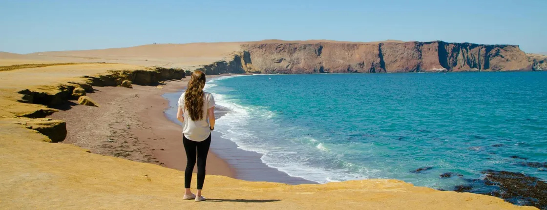 Ballestas Islands and Paracas National Reserve tour