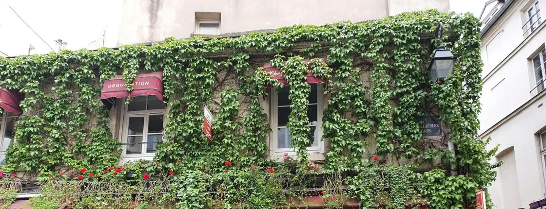 Le Marais and Jewish heritage guided walking tour