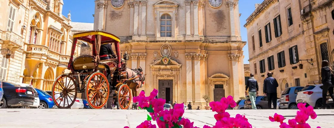 Mdina and the highlights of Malta guided tour with lunch