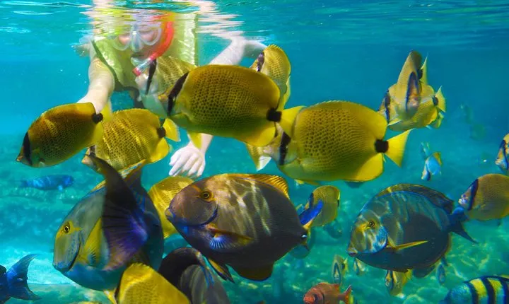 Krabi Nice Sea Snorkeling