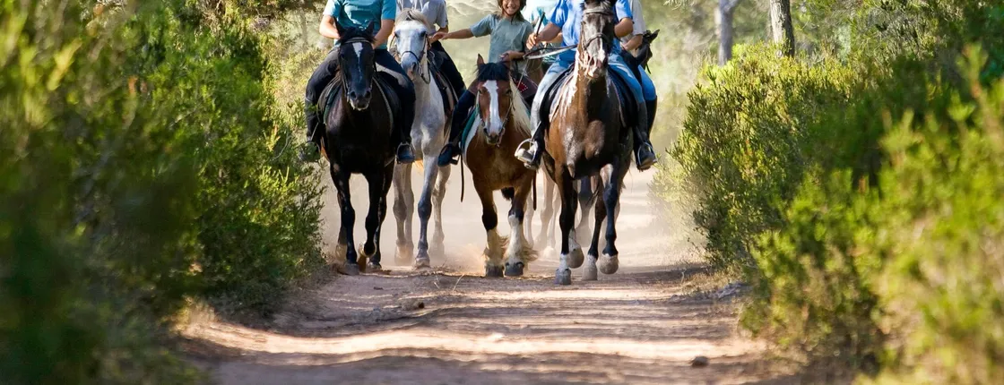 Menorca’s Camí de Cavalls coastal horse-riding tour