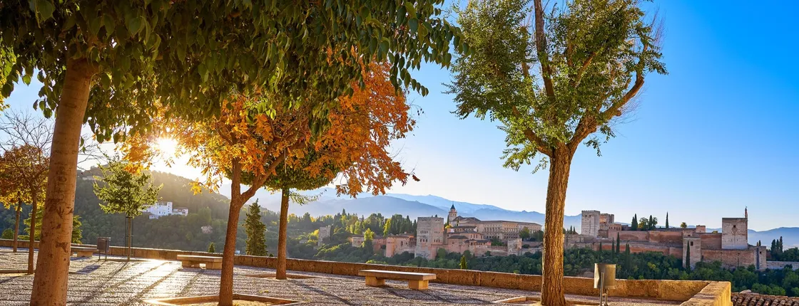 Day trip to Granada from Malaga at your leisure