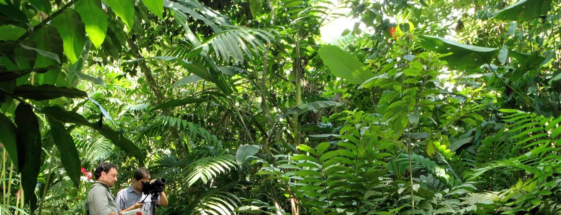 Ecological Park and Butterfly Garden Danaus Morning