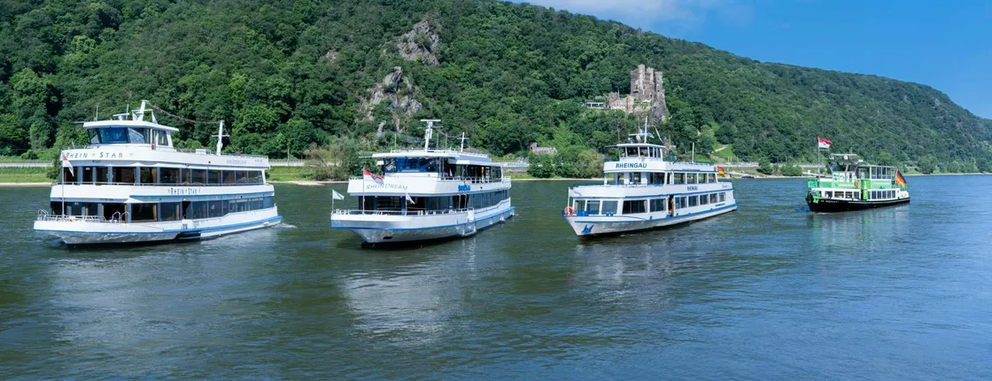 Ticket for Rhine castle cruise from Rüdesheim