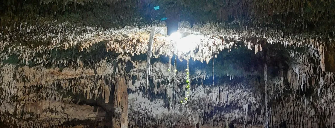 Cenotes Zapote Prehistoric Park zip-lining and cenote tour