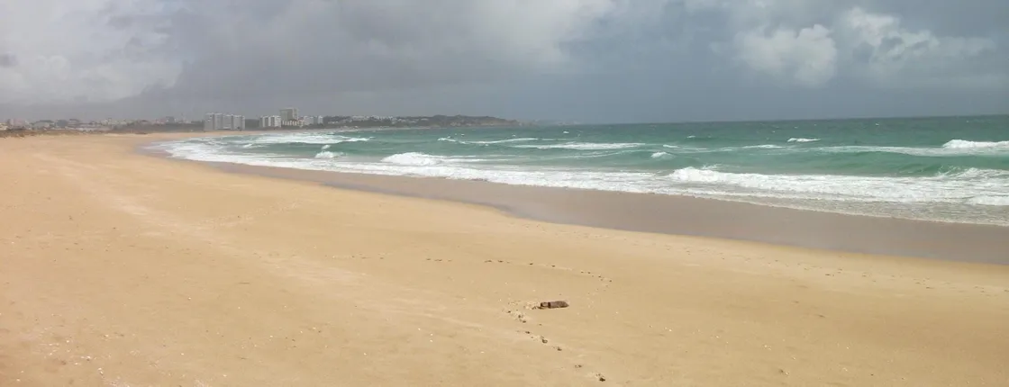 Abicada lagoon and Alvor dunes birdwatching tour