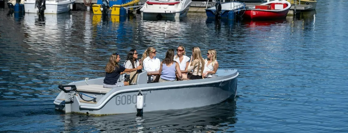 2-hour private electric cruise tour in Copenhagen
