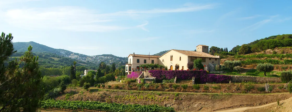 Boat tour to the vineyards with wine tasting from Barcelona