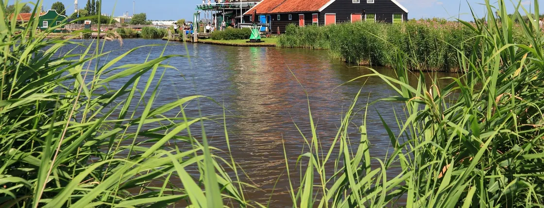Excursión en grupo a los molinos de Zaanse Schans, Edam, Volendam y Marken