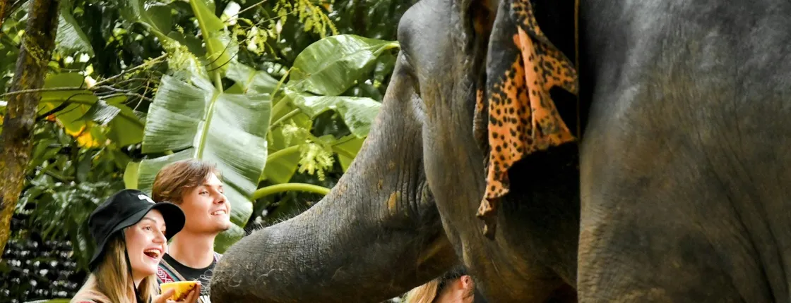Elephant experience and Jungle Cafe at Elephant Jungle Park from Phuket