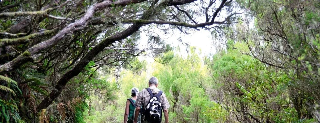 Levada do Alecrim walk