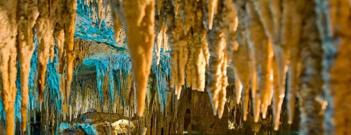Cancun Xplor Adventure Park Ticket