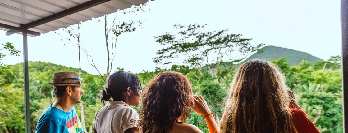Mauritius Ebony Forest and bird watching tour
