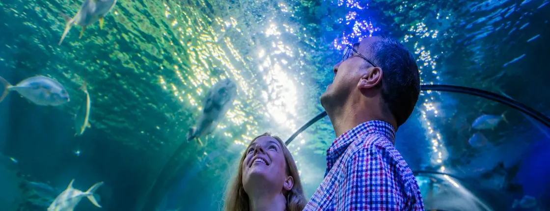 SEA LIFE Loch Lomond ticket with 1GB eSIM