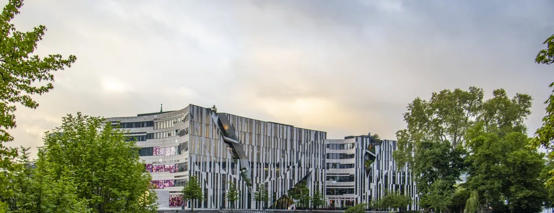 Instagram tour of Düsseldorf with a private local guide