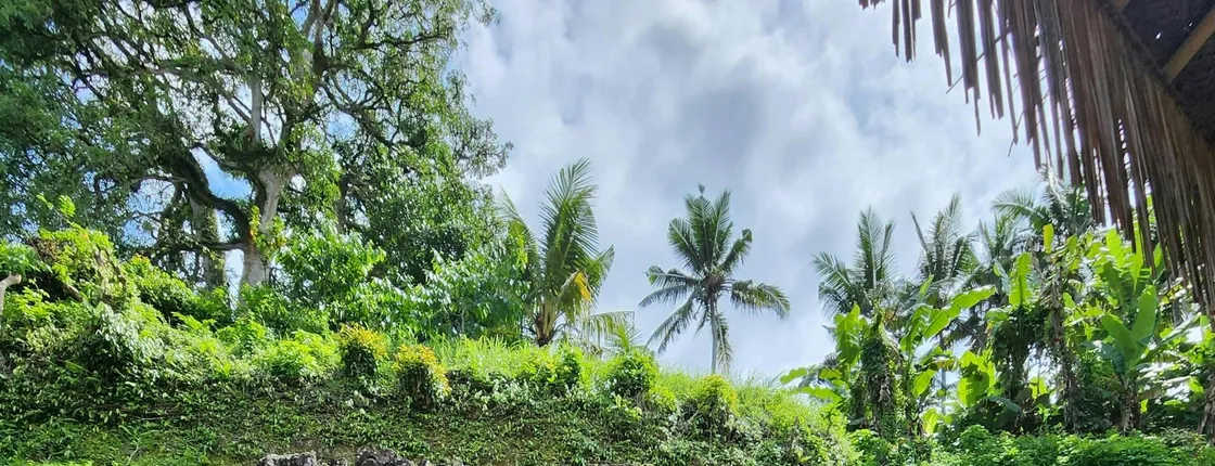 Ubud highlights and waterfalls guided tour