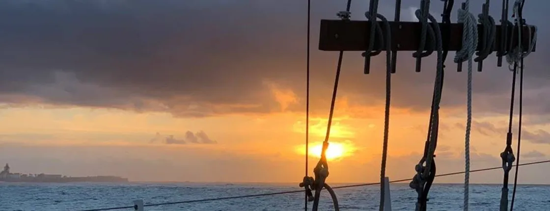 90-minute Cruise and Dinner in Cape Town