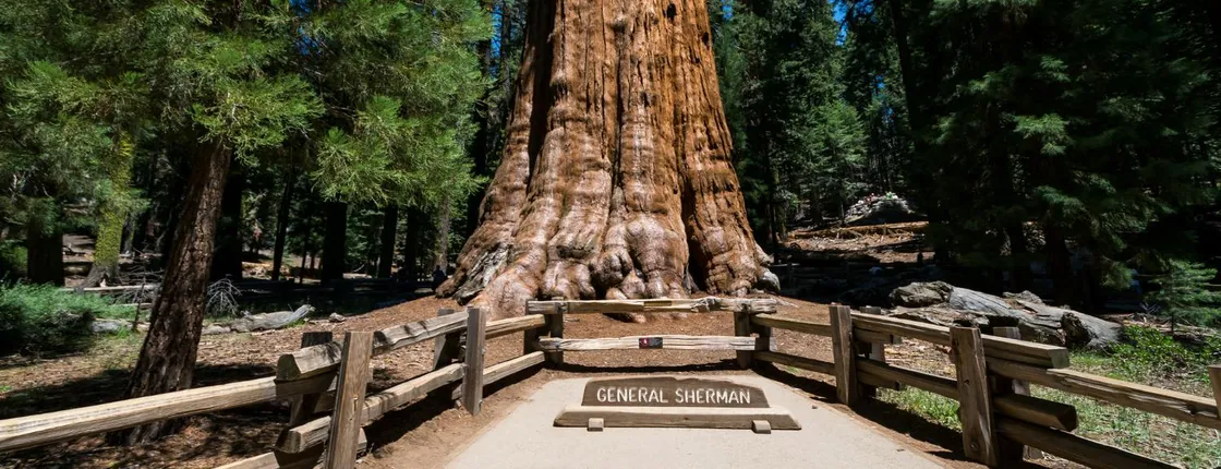 Audio-Guided Driving Tour to Sequoia and Kings Canyon