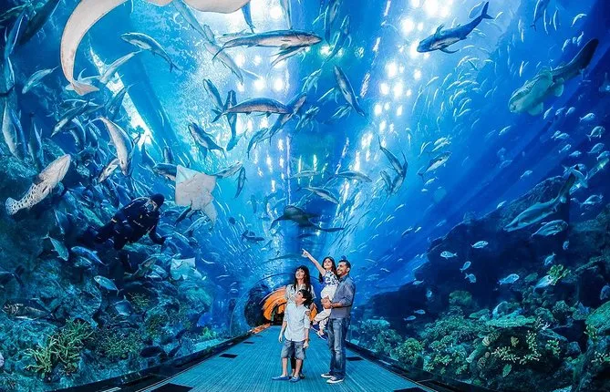 VIP Dubai Aquarium