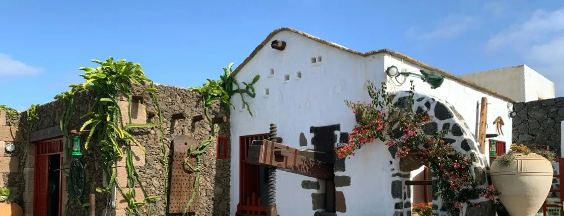 Lanzarote wine-tasting and museum tour at Bodega Finca Mota