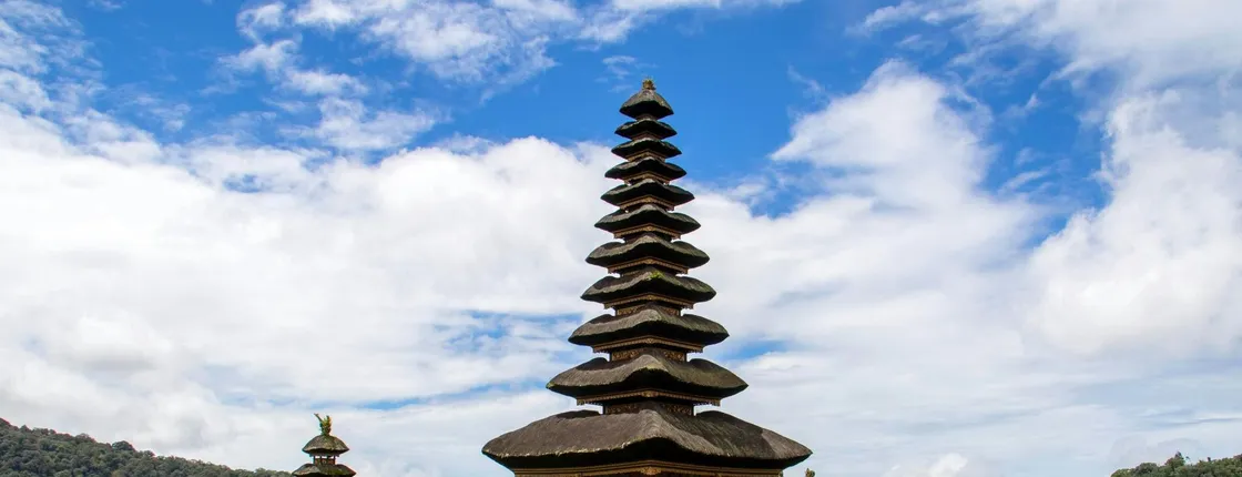 Bali guided tour with Jatiluwih rice terraces and optional lunch