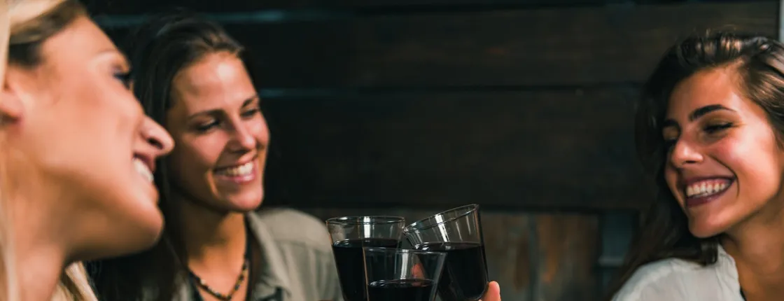 Private wine tasting experience in Bologna